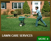 Lawn Care Services